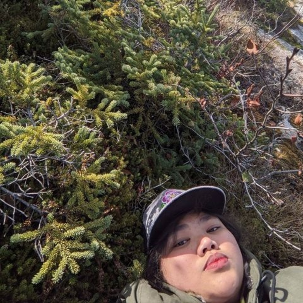 Meet your Posher, Dona